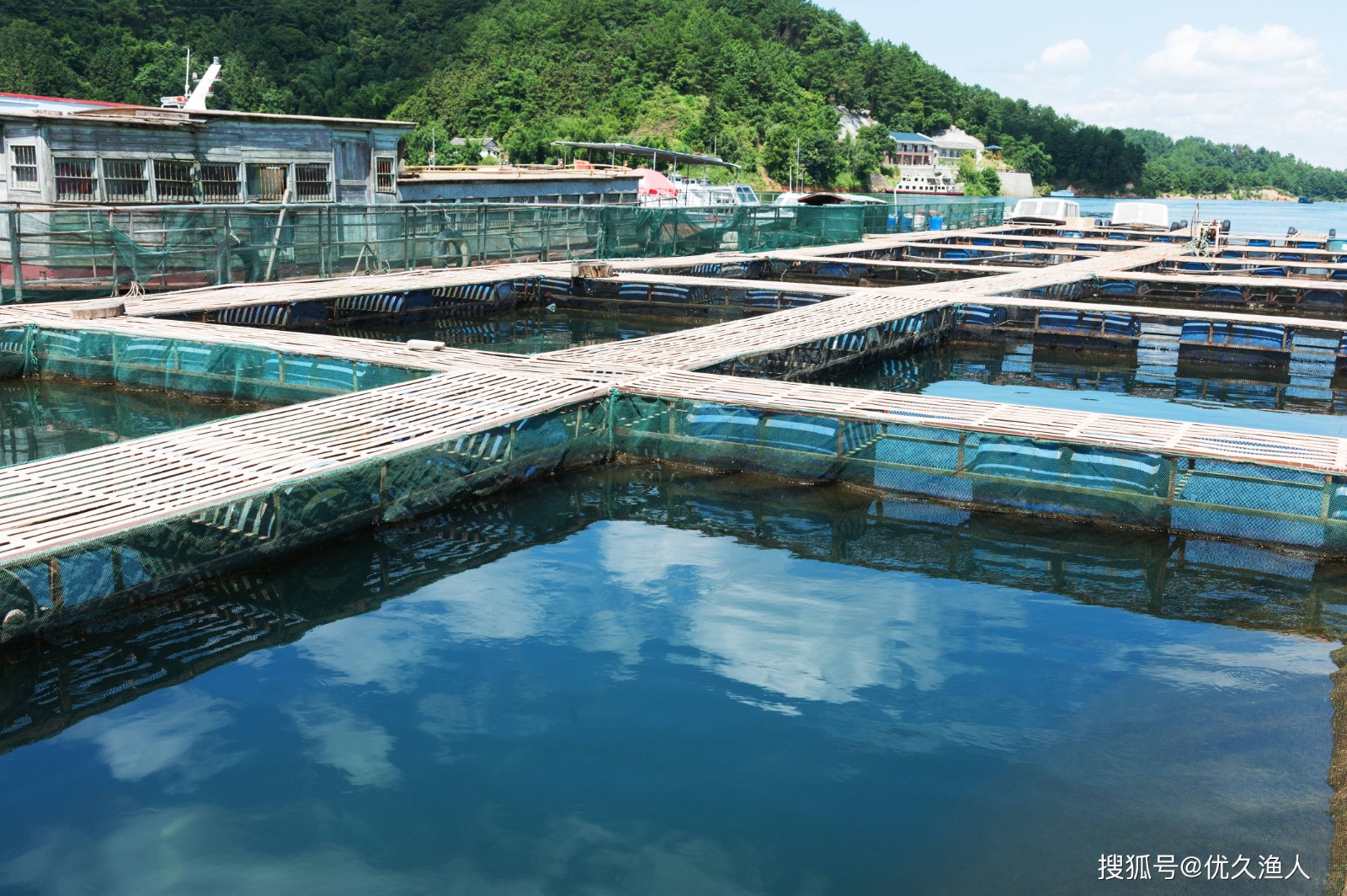 1719017022891488.jpeg cdf3815d2bfb44d4b4acc3bde95dc375.jpeg